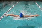 Swimming vs Babson  Wheaton College Swimming vs Babson College. - Photo By: KEITH NORDSTROM : Wheaton, Swimming, Babson